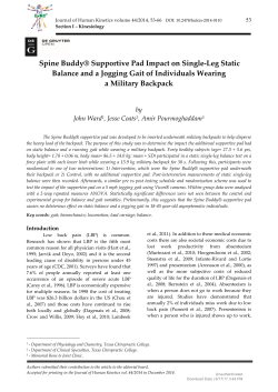 Spine Buddy&reg; Supportive Pad Impact on Single