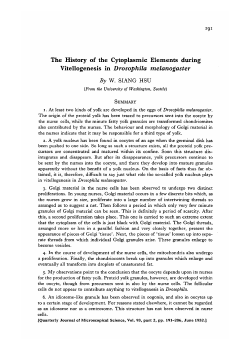 The History of the Cytoplasmic Elements during Vitellogenesis in