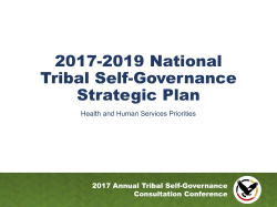 Strategic Plan Priorities - Tribal Self