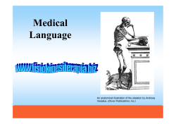 Medical Language - Fisiokinesiterapia
