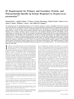 B7 Requirements for Primary and Secondary Protein