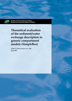 Theoretical evaluation of the sediment/water exchange description