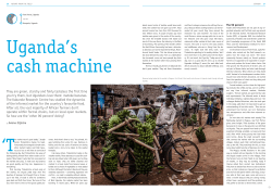 Here - AgriProFocus