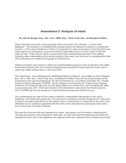 Amendment 2: Analysis of Intent