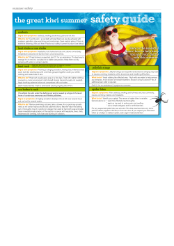 the great kiwi summer safety guide