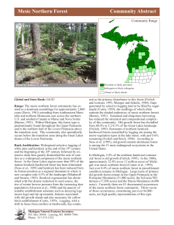 Mesic Northern Forest Community Abstract