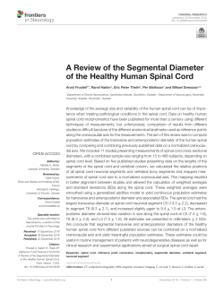 A Review of the Segmental Diameter of the Healthy Human Spinal