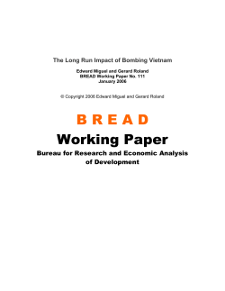 BREAD Working Paper No. 111: The Long Run Impact of Bombing