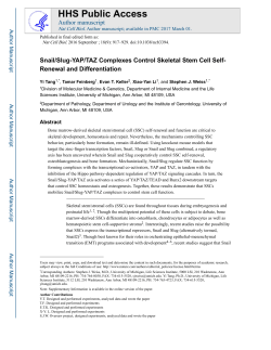 Snail/Slug-YAP/TAZ Complexes Control Skeletal