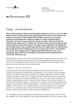 Fungi &ndash; an introduction