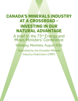 CANADA`S MINERALS INDUSTRY AT A CROSSROAD
