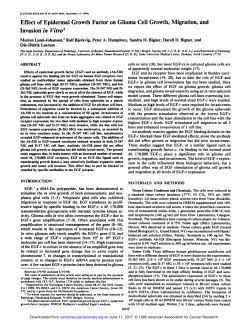 Effect of Epidermal Growth Factor on Glioma Cell