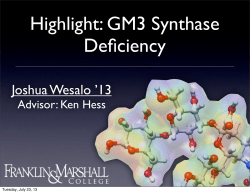 Highlight: GM3 Synthase Deficiency