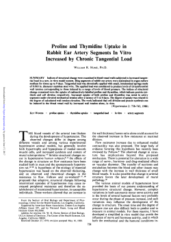 Proline and Thymidine Uptake in Rabbit Ear Artery Segments In