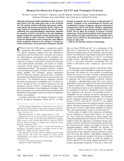 Human Erythrocytes Express GLUT5 and Transport