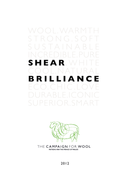 Shear Brilliance Exhibition Catalogue