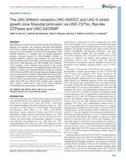 PDF + SI - Development - The Company of Biologists