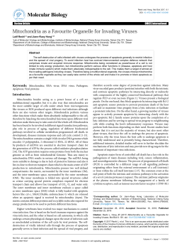 Mitochondria as a Favourite Organelle for Invading