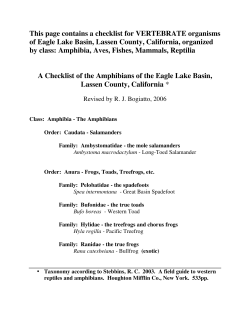 This page contains a checklist for VERTEBRATE organisms of Eagle