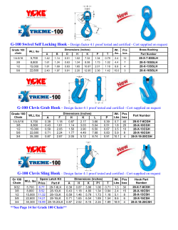 G-100 Swivel Self Locking Hook &ndash; Design factor 4:1 proof tested and