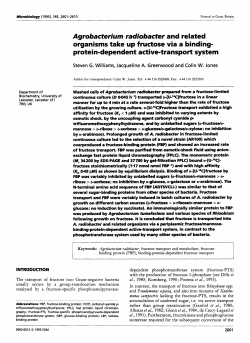 protein-dependent active-transport system