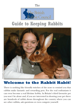 BRC 4pp A5 2015.indd - The British Rabbit Council