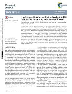 Imaging specific newly synthesized proteins within cells by