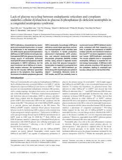Lack of glucose recycling between endoplasmic reticulum and