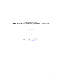 the camisea gas project a multi-stakeholder perspective on conflicts