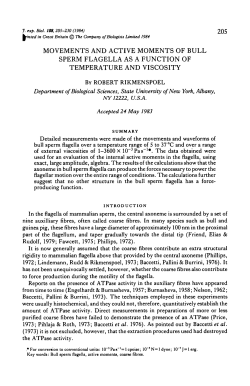 movements and active moments of bull sperm flagella as a function