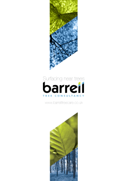 Surfacing near trees - Barrell Tree Consultancy