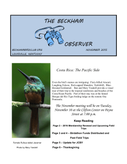 the beckham observer