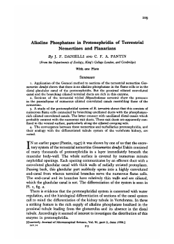 Alkaline Phosphatase in Protonephridia of Terrestrial Nemertines