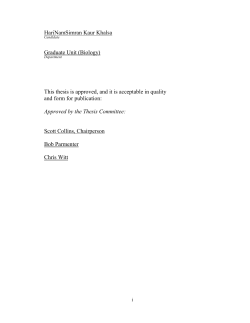 BBS_Thesis - The University of New Mexico