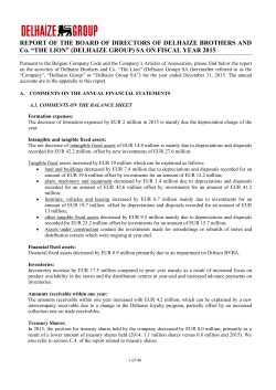 2015 Statutory Directors` Report Delhaize Group