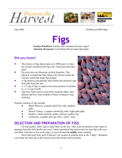 Figs - UC Food Safety