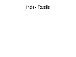 Index Fossils - HCC Learning Web