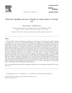 Electrical signaling and gas exchange in maize plants of