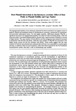 Host-Plasmid Interactions in Saccharomyces