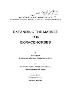 Expanding the Market for Ex-Racehorses