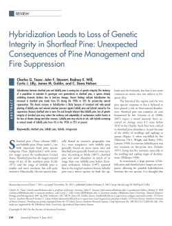 Hybridization Leads to Loss of Genetic Integrity in