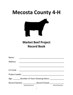 Market Beef Record Book