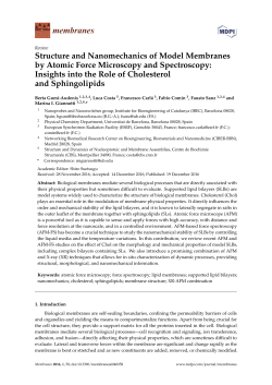Structure and Nanomechanics of Model Membranes by Atomic