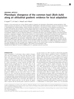 Phenotypic divergence of the common toad (Bufo bufo)