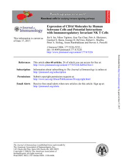 with Immunoregulatory Invariant NK T Cells Schwann Cells and