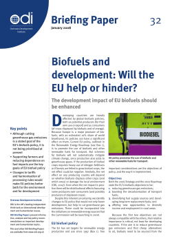 Biofuels and development: Will the EU help or hinder?