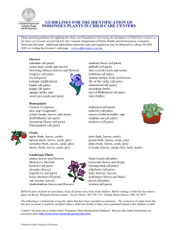 Child Care Poisonous Plants Guidance