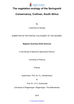 The vegetation ecology of the &ldquo;Wilde Seringveld