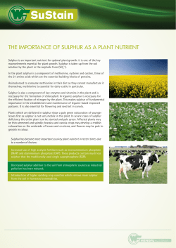 The Importance of Sulphur