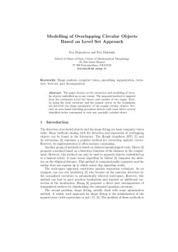 Modelling of Overlapping Circular Objects Based on Level Set